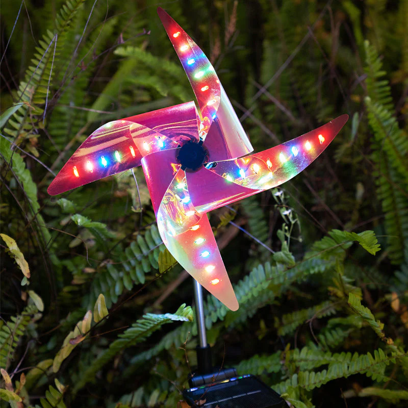 Miniatuur 2