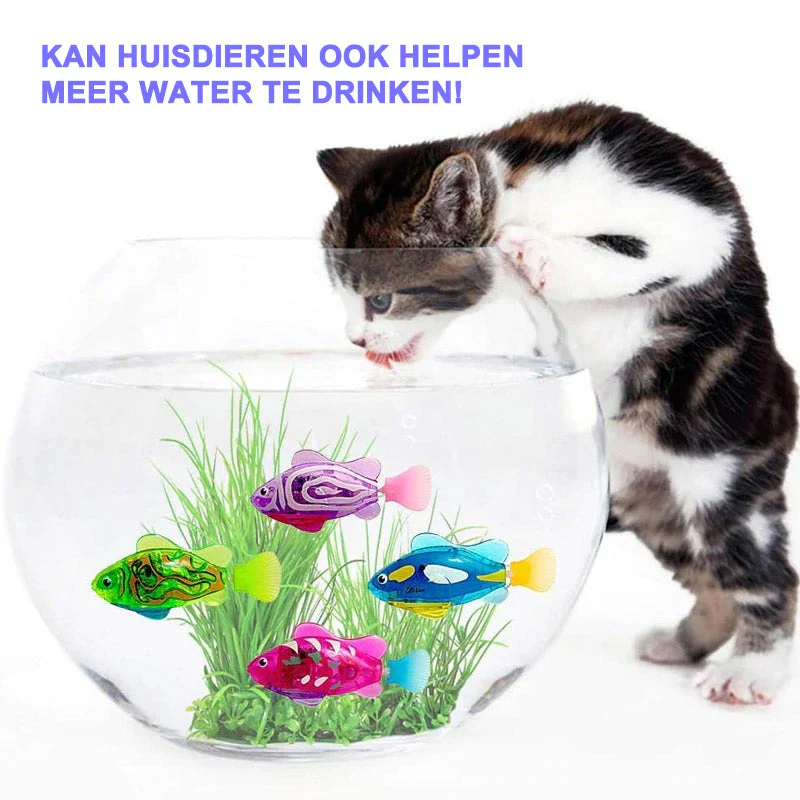 Productafbeelding 5